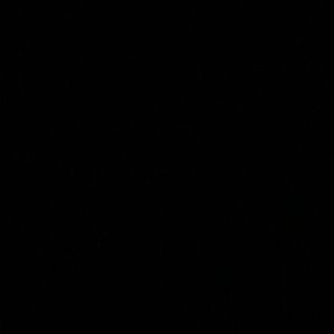 Meet your Posher, Jackson